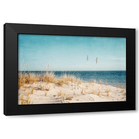 Beach And Gulls Black Modern Wood Framed Art Print with Double Matting by Ryan, Brooke T.