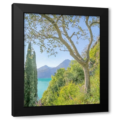 Lago di Como View No. 2 Black Modern Wood Framed Art Print by Ryan, Brooke T.