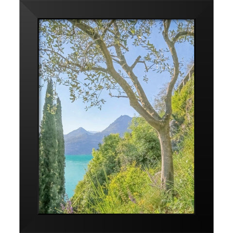 Lago di Como View No. 2 Black Modern Wood Framed Art Print by Ryan, Brooke T.