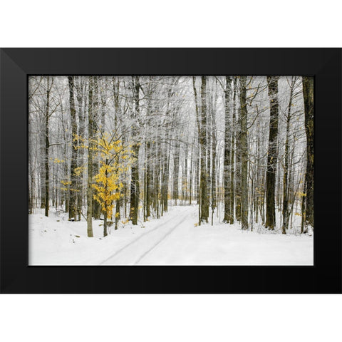 Mustard Tree Black Modern Wood Framed Art Print by Ryan, Brooke T.