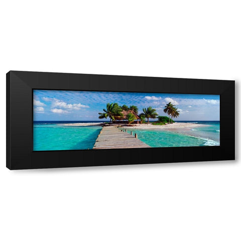 Island Life Black Modern Wood Framed Art Print by Reed, Jack