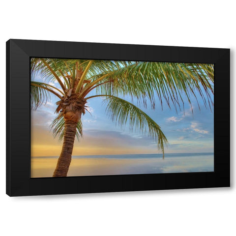 Key West Black Modern Wood Framed Art Print by Reed, Jack
