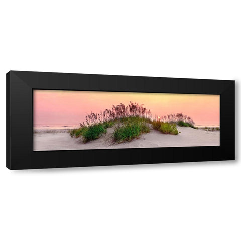 Sea Oats Sun Black Modern Wood Framed Art Print with Double Matting by Reed, Jack