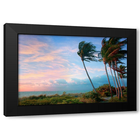 Seabreeze Black Modern Wood Framed Art Print with Double Matting by Reed, Jack