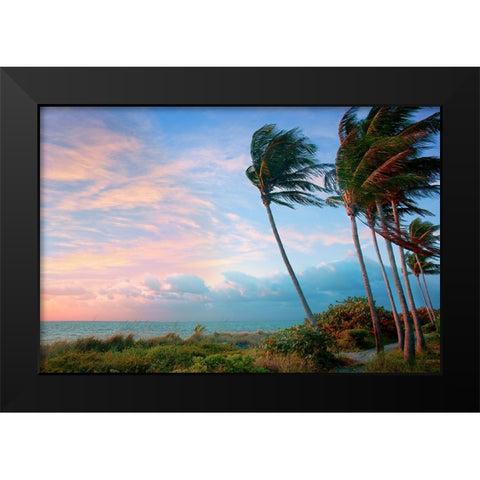 Seabreeze Black Modern Wood Framed Art Print by Reed, Jack