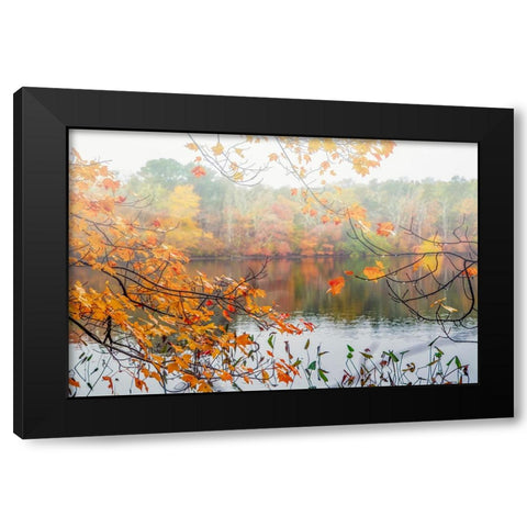 Autumn Pond Black Modern Wood Framed Art Print by Ryan, Brooke T.