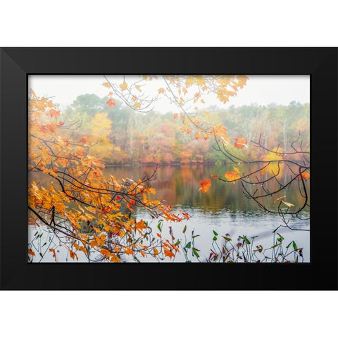 Autumn Pond Black Modern Wood Framed Art Print by Ryan, Brooke T.
