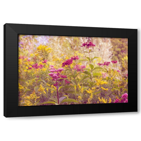Plum and Mustard Wildflowers Black Modern Wood Framed Art Print by Ryan, Brooke T.