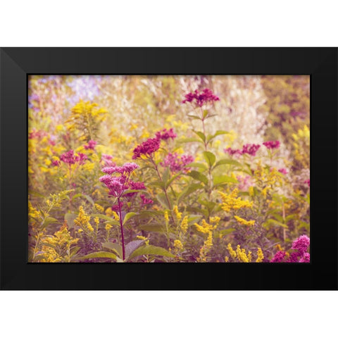 Plum and Mustard Wildflowers Black Modern Wood Framed Art Print by Ryan, Brooke T.