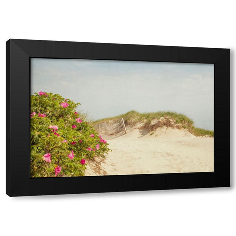 Rosa Rugosa Black Modern Wood Framed Art Print with Double Matting by Ryan, Brooke T.