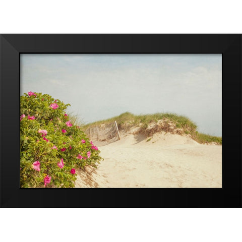 Rosa Rugosa Black Modern Wood Framed Art Print by Ryan, Brooke T.