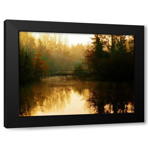 Marcels Hidden Treasure Black Modern Wood Framed Art Print by Rickenbacher, John W.