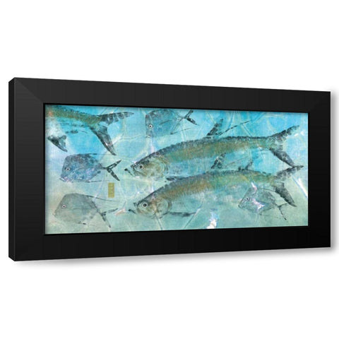 Tarpon Lagoon Black Modern Wood Framed Art Print with Double Matting by Roberts, Jim