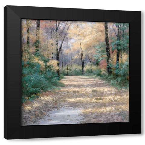 Harvest Morning Black Modern Wood Framed Art Print with Double Matting by Romanello, Diane