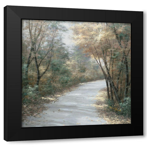 Shades of Autumn Black Modern Wood Framed Art Print by Romanello, Diane