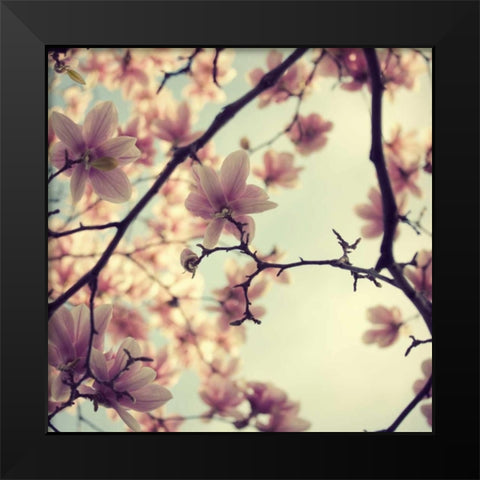 Pink Blossoms Black Modern Wood Framed Art Print by Suchocki, Irene