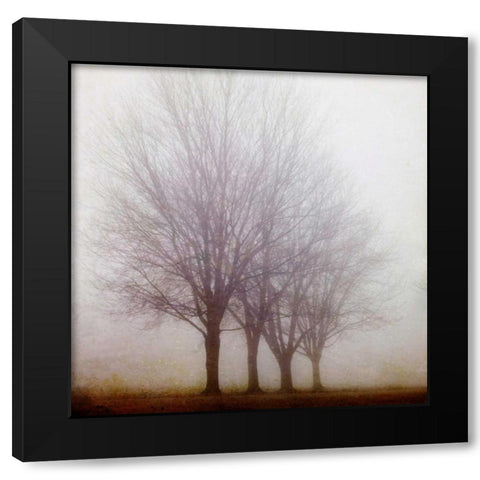 Standing Still Black Modern Wood Framed Art Print by Suchocki, Irene