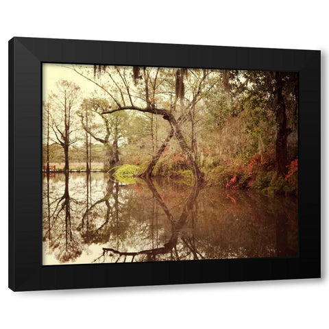 Deep South I Black Modern Wood Framed Art Print with Double Matting by Suchocki, Irene