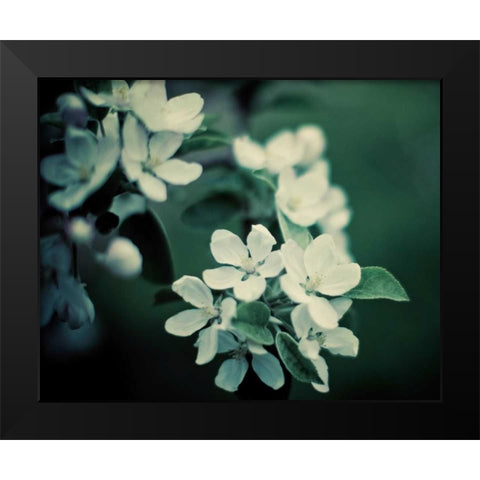 The Midnight Garden II Black Modern Wood Framed Art Print by Suchocki, Irene