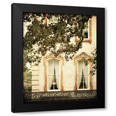 Savannah Charm I Black Modern Wood Framed Art Print with Double Matting by Suchocki, Irene