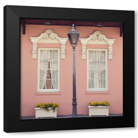 Southern Charm Black Modern Wood Framed Art Print with Double Matting by Suchocki, Irene