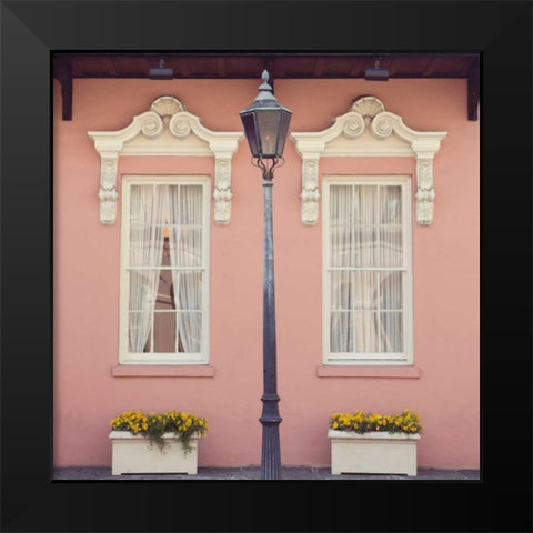 Southern Charm Black Modern Wood Framed Art Print by Suchocki, Irene