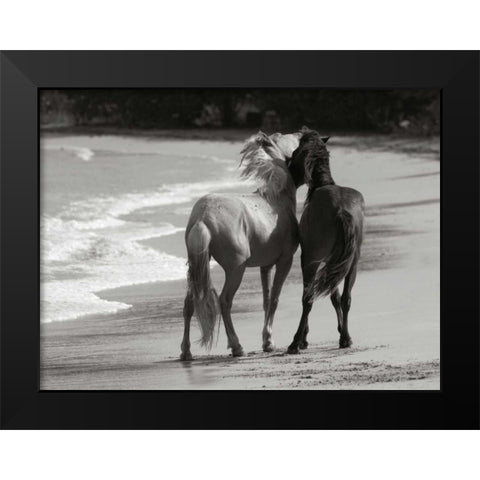 Young Mustangs on Beach Black Modern Wood Framed Art Print by Scott, Traer
