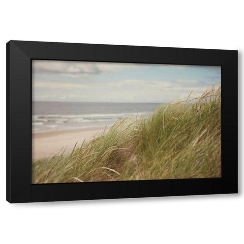 Beach Grass I Black Modern Wood Framed Art Print by Suchocki, Irene