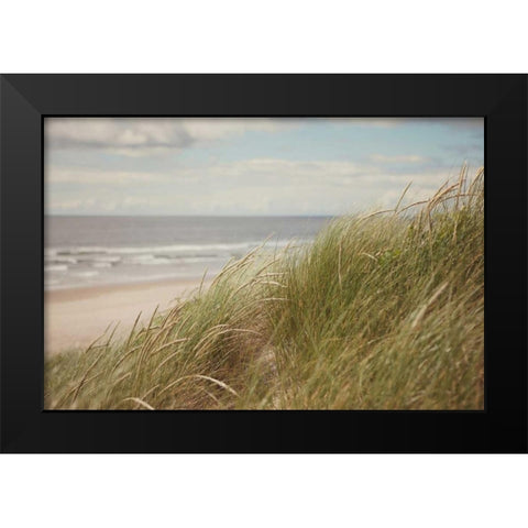 Beach Grass I Black Modern Wood Framed Art Print by Suchocki, Irene