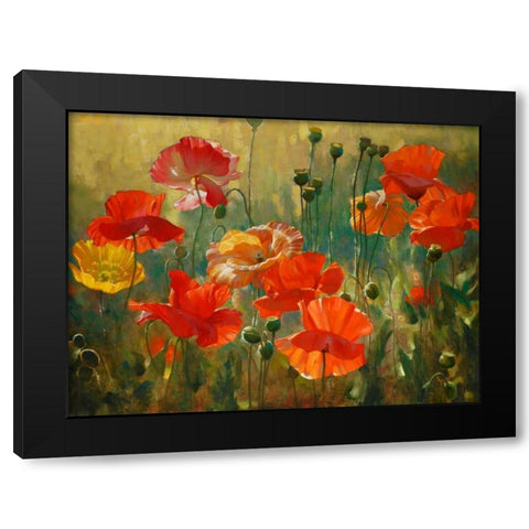 Poppy Fields Black Modern Wood Framed Art Print by Styles, Emma