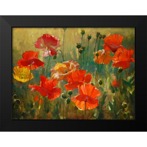 Poppy Fields Black Modern Wood Framed Art Print by Styles, Emma
