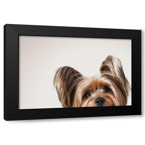 Jeri Black Modern Wood Framed Art Print with Double Matting by Sabo, Susan