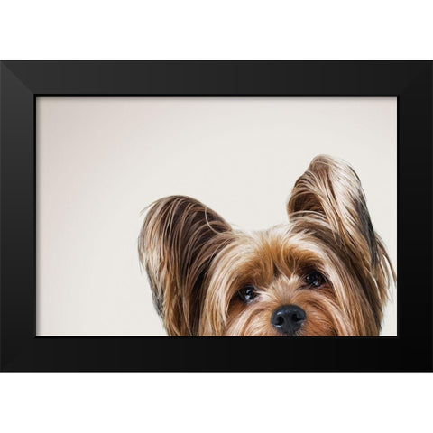 Jeri Black Modern Wood Framed Art Print by Sabo, Susan