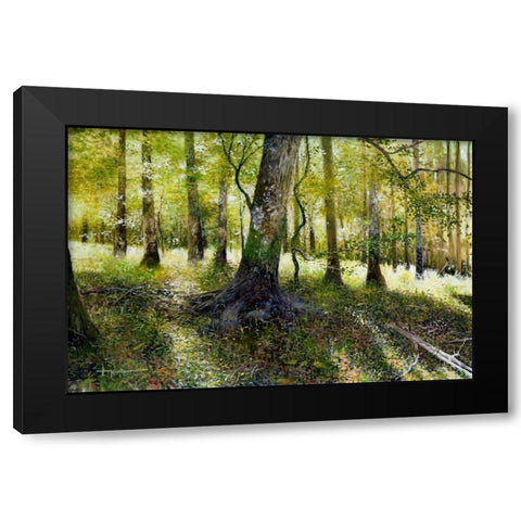 Little Econ River Black Modern Wood Framed Art Print by Sullivan, Kent