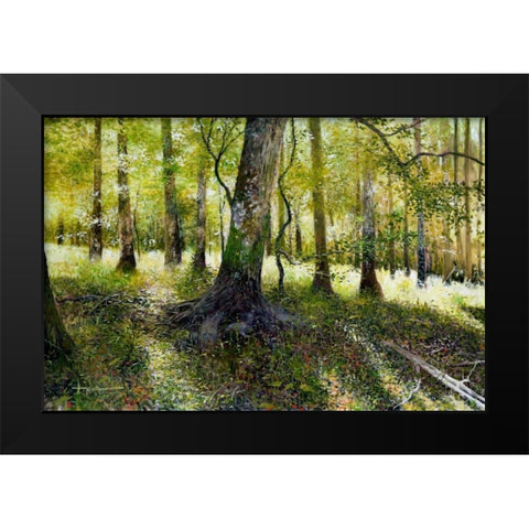 Little Econ River Black Modern Wood Framed Art Print by Sullivan, Kent