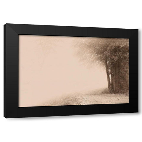 Gate to Infinity Black Modern Wood Framed Art Print by Svibilsky, Igor