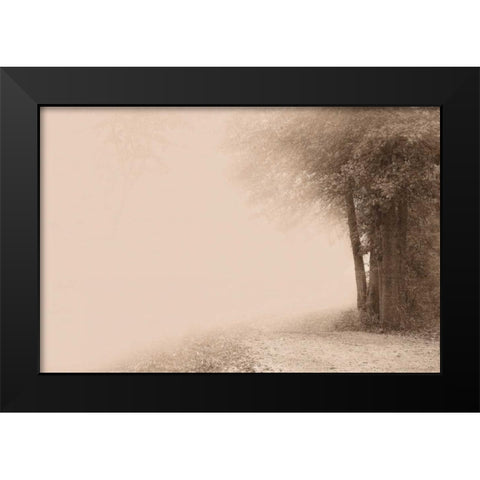 Gate to Infinity Black Modern Wood Framed Art Print by Svibilsky, Igor
