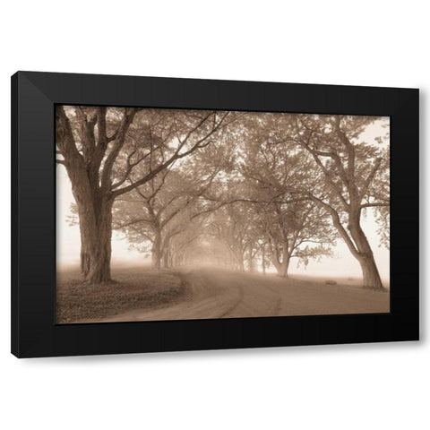 Guardians of the Road Black Modern Wood Framed Art Print with Double Matting by Svibilsky, Igor