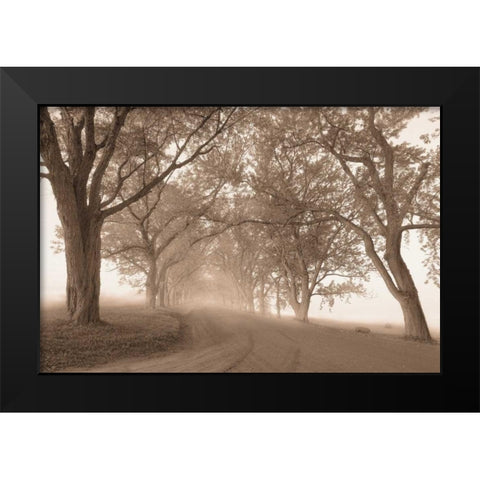 Guardians of the Road Black Modern Wood Framed Art Print by Svibilsky, Igor