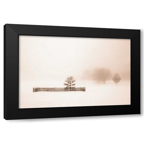 Isolated Black Modern Wood Framed Art Print by Svibilsky, Igor