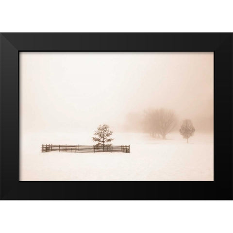Isolated Black Modern Wood Framed Art Print by Svibilsky, Igor