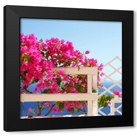Santorini Blooms Black Modern Wood Framed Art Print by Coomes, Sylvia