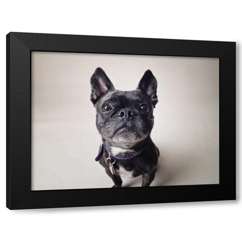 Bailey Black Modern Wood Framed Art Print with Double Matting by Sabo, Susan