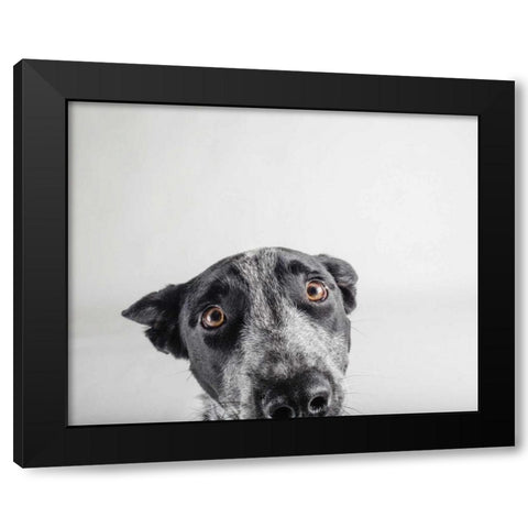 Blue Zuck Black Modern Wood Framed Art Print by Sabo, Susan