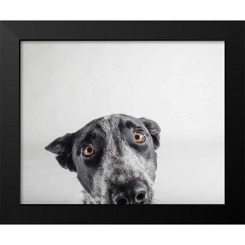 Blue Zuck Black Modern Wood Framed Art Print by Sabo, Susan