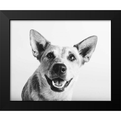 Irma Black Modern Wood Framed Art Print by Sabo, Susan