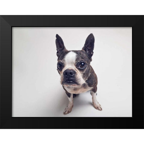 Norton Moses Black Modern Wood Framed Art Print by Sabo, Susan