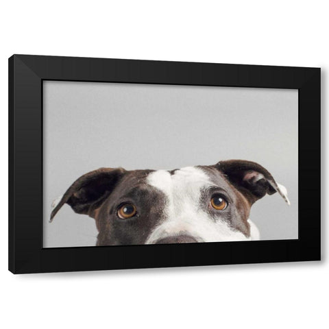 Ruby Black Modern Wood Framed Art Print with Double Matting by Sabo, Susan