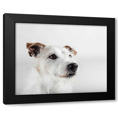 Spike Zuck Black Modern Wood Framed Art Print by Sabo, Susan