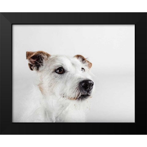 Spike Zuck Black Modern Wood Framed Art Print by Sabo, Susan